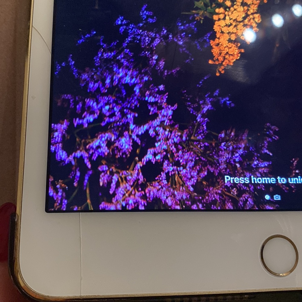 iPad Mini 4 - Picture 4 of 4